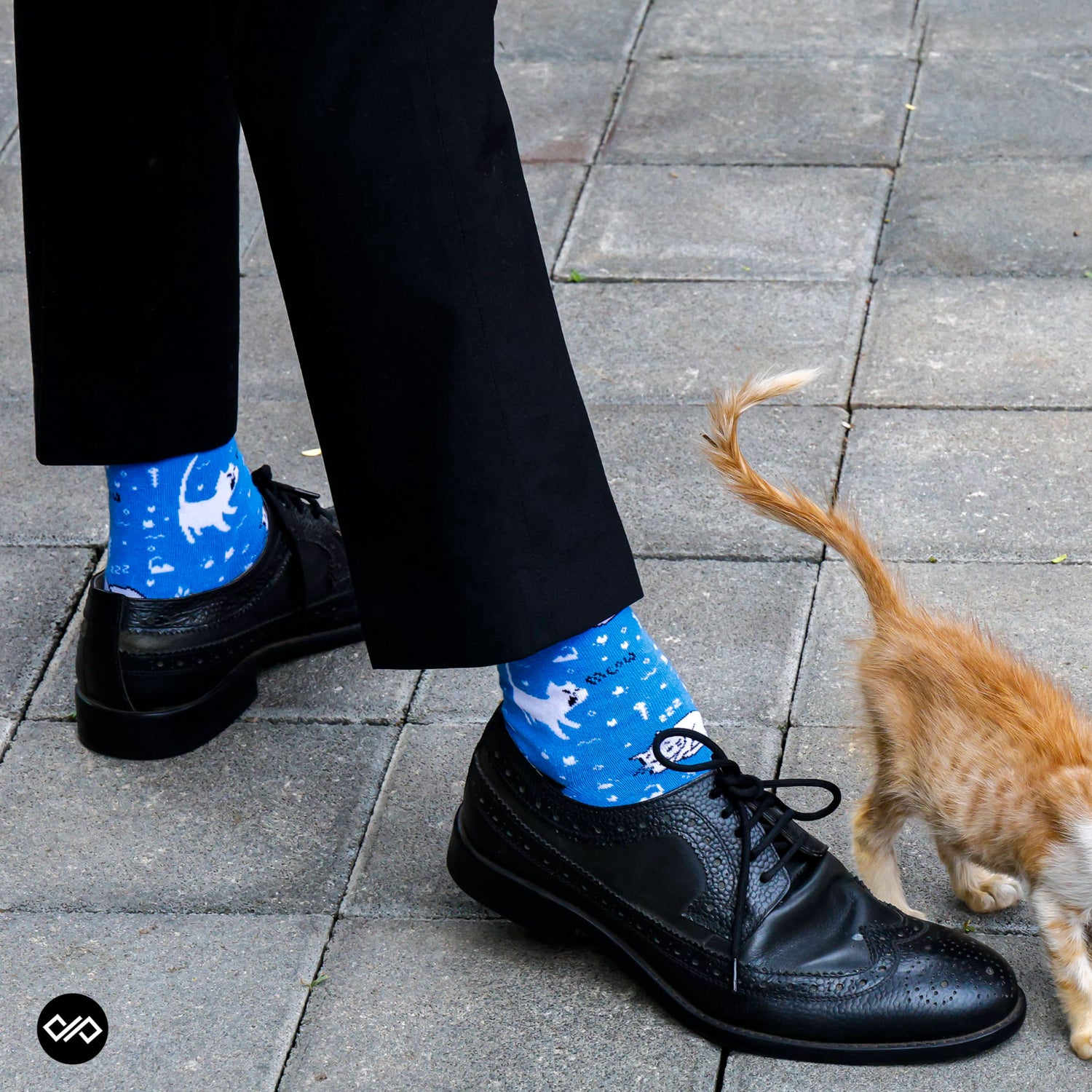 Dynamocks Blue Kitty Crew Length Socks for Men and Women